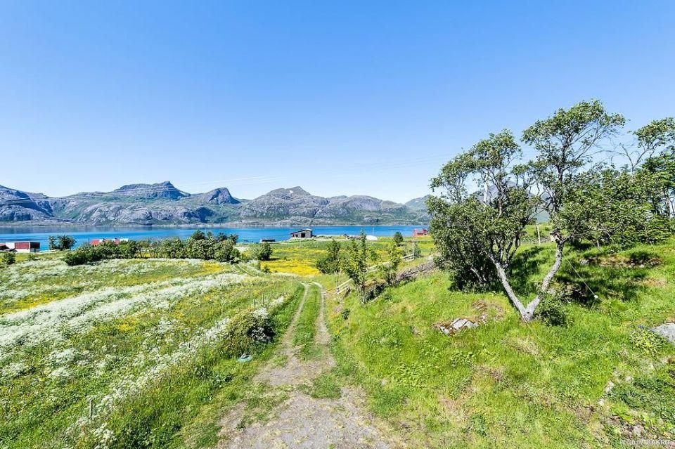 Villa Vevika Lofoten à Gravdal  Extérieur photo