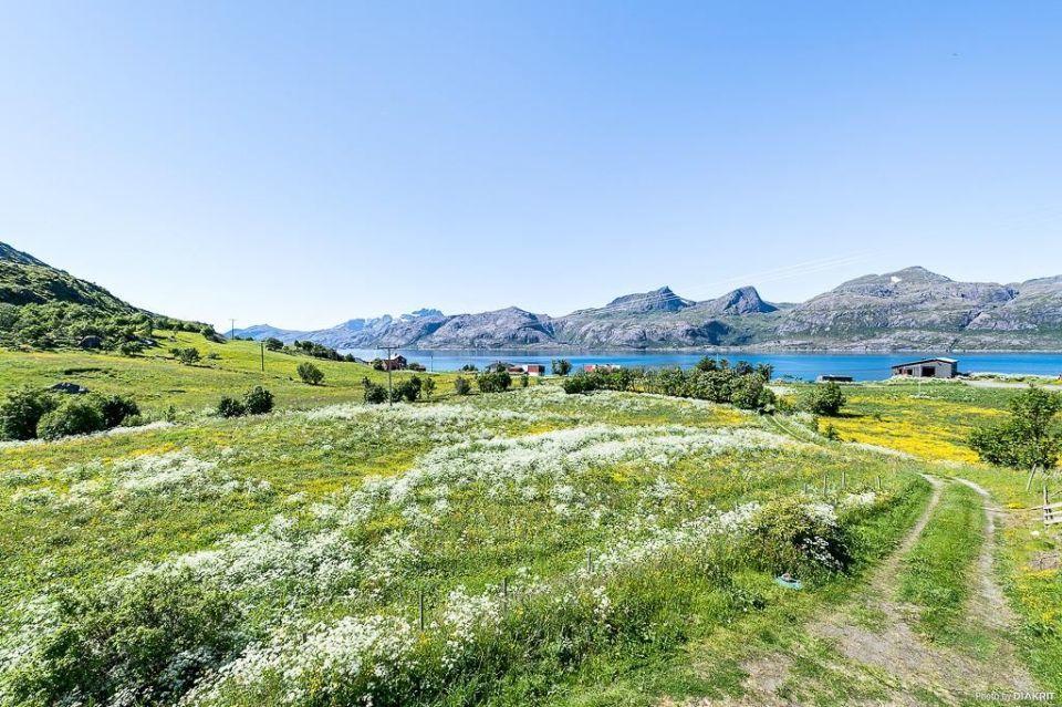 Villa Vevika Lofoten à Gravdal  Extérieur photo